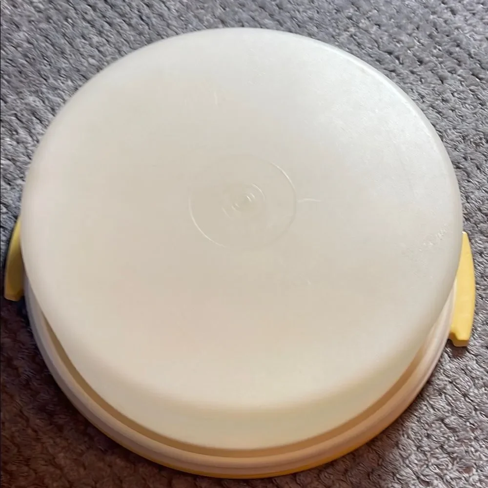 Vintage cake taker Tupperware